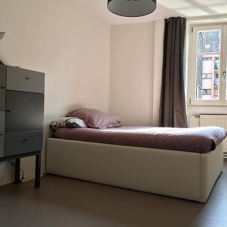Appartement Des Moulins 스트라스부르 외부 사진