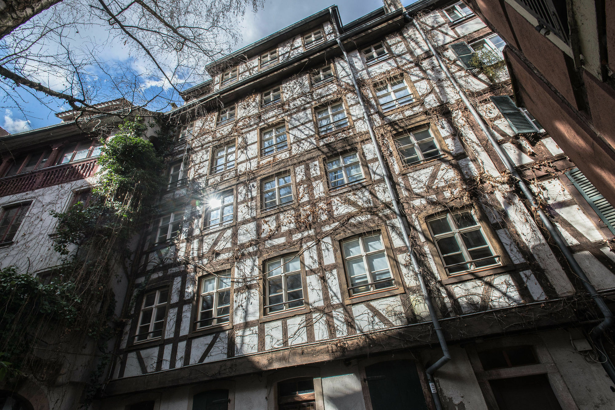 Appartement Des Moulins 스트라스부르 외부 사진